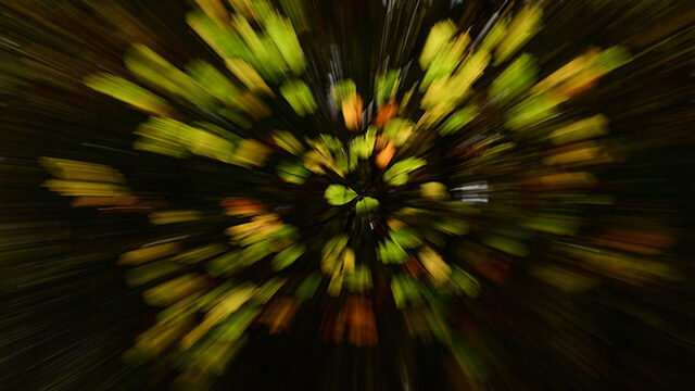 Llibre "TER" + taller fotogràfic personalitzat.