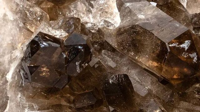 Juana Torrelles «la Paridera»