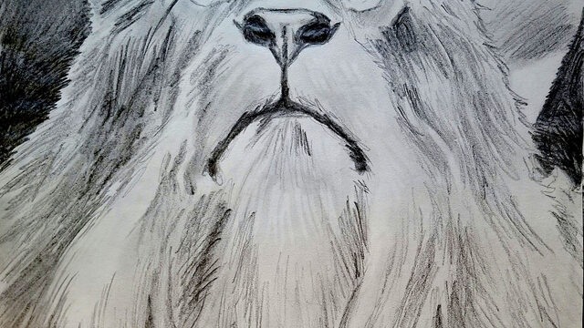 PACK LIBRO + ORIGINAL A3 - 04 DEL LISTADO