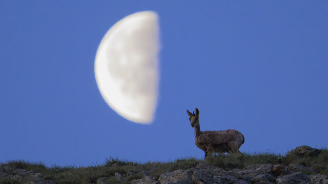 Pack ASOCIACIONES con EXPOSICIÓN