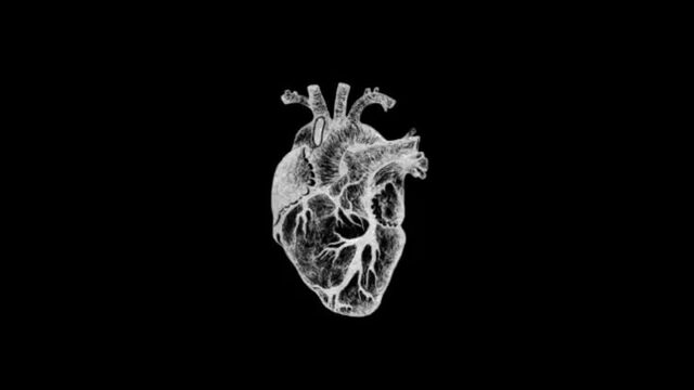 Post de agradecimiento