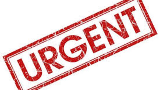 Revista "El Mito" (ENVÍO URGENTE)