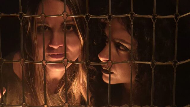 PACK ALECTO - 14 DE FEBRERO