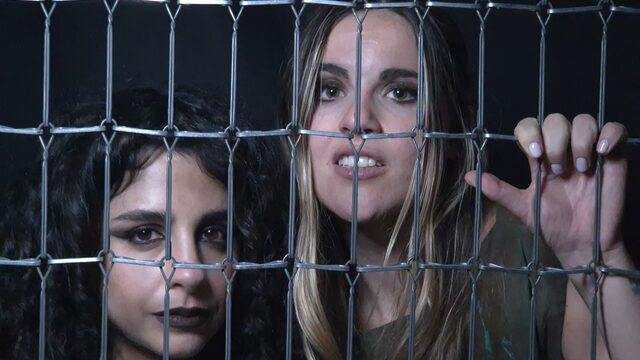 PACK MEGERA - 23 DE ENERO