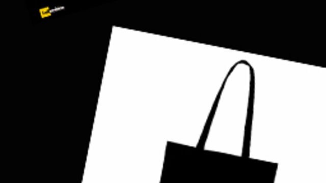 Aportación Standard