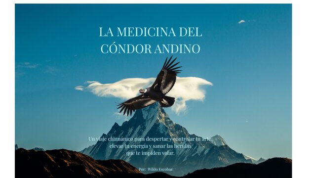 NIDO DE CÓNDOR (11 € ≈ $11.000 CLP)