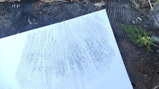 Pack EXPLORA. Juego ITINAYA + Laboratorio online