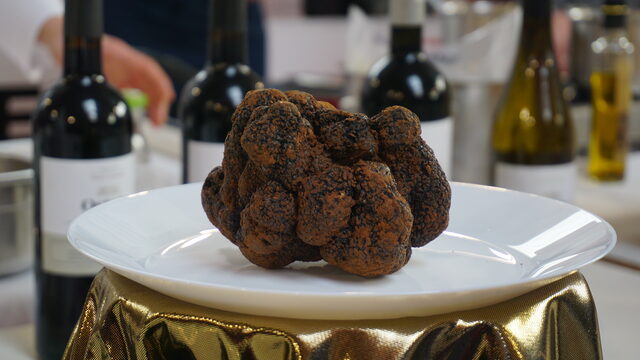 🌱 Semilla del proyecto 