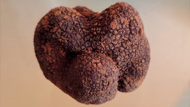 🎥 Mirada documental 