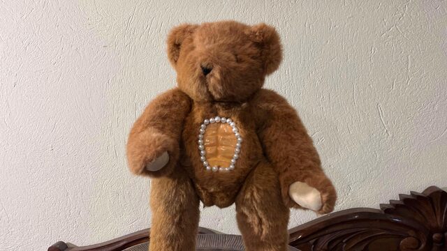 Peluche personalizado (grande).