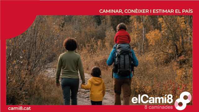 FAMILIAR: 2 Kits adult + fills