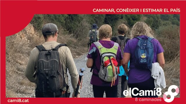 Pack de 5 kits per a colla-caminaire