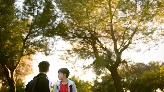 Conductor/a de sueños