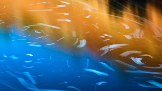 Pack asociaciones (12 libros)