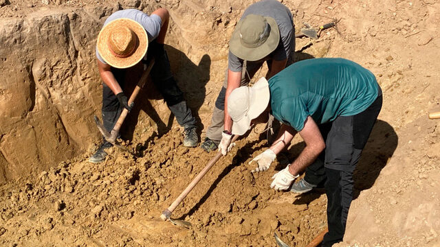 Aprendiz en prácticas