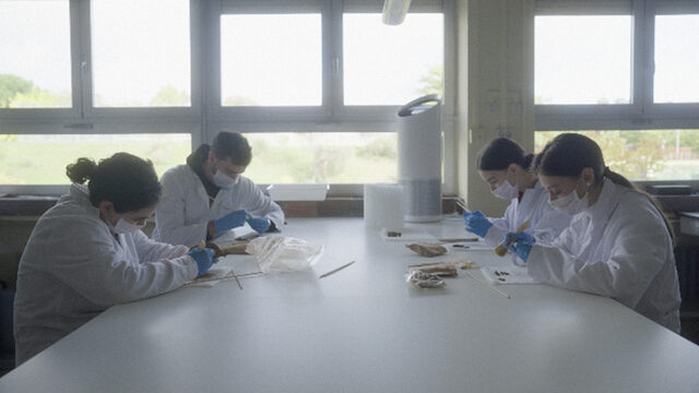 Antropólogo/a forense