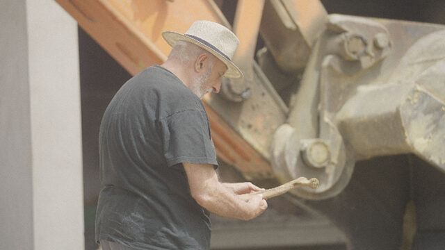 Director/a de exhumación