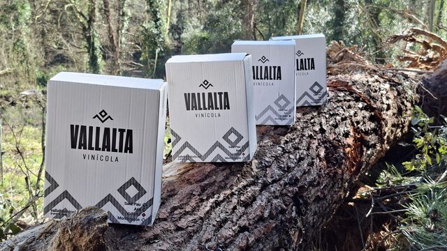 El Techo de Vallalta Vinícola