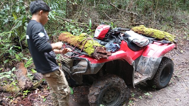 Custodio de la Biosfera Maya