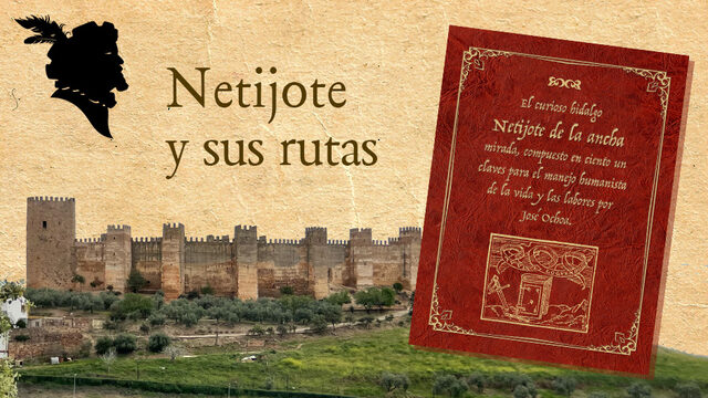 Netijote y sus viajes