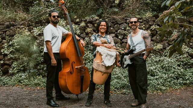 🌴 PACK CONCIERTO ÍNTIMO