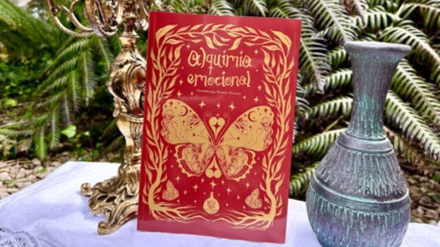 EARLY BIRD, primeras 48H