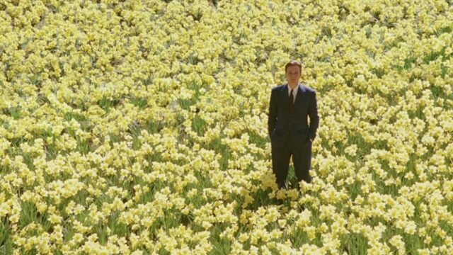 Llibre original del curtmetratge i ram de flors de colza 🌼