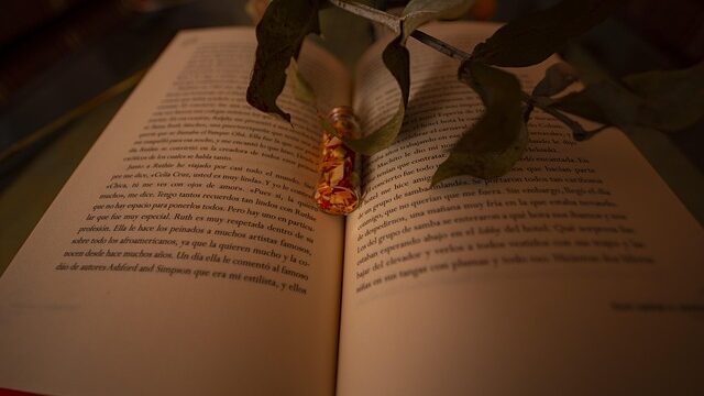 Protagonista del libro (edición limitada)