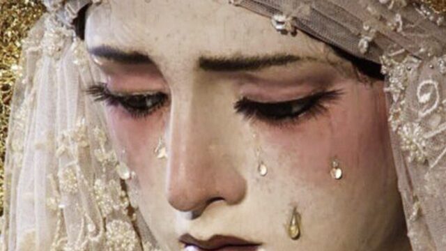 Agradecimientos especiales