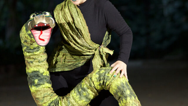 2 ENTRADAS GENERALES CON DESCUENTO