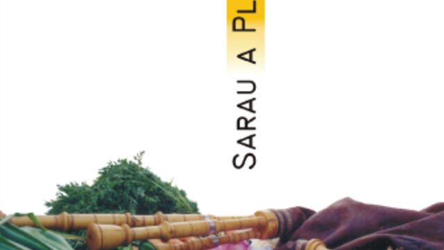 3- Sarau a plaça, 2003