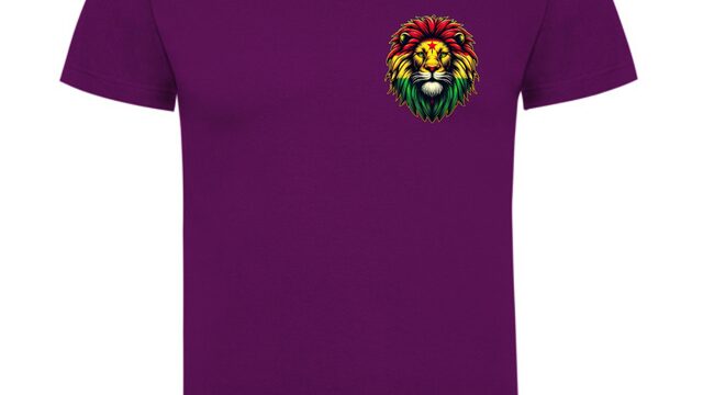 Camiseta Acapulpo Reggae Solidario 2025