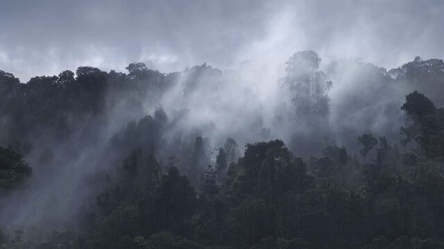 UB GUYANA 2