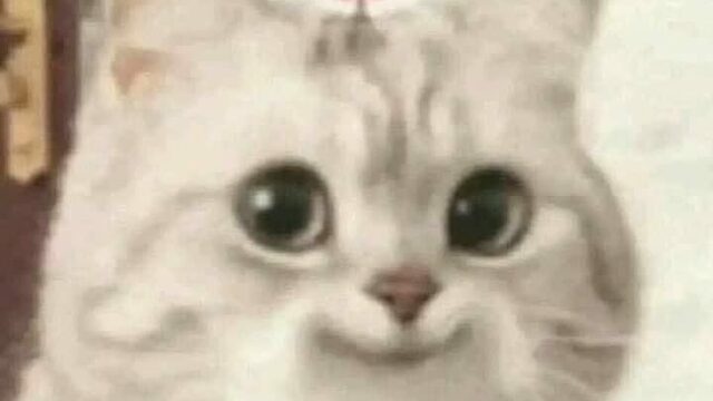 Palmadita en el hombro