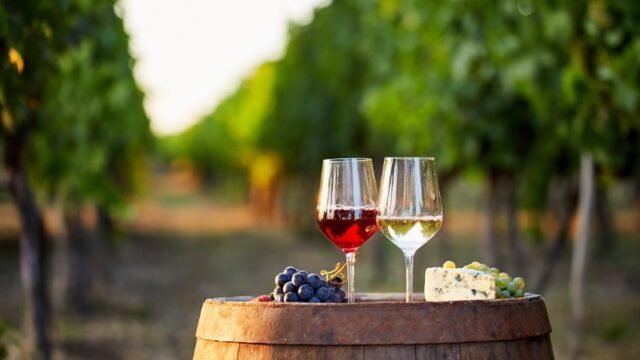 Pack Ruta enogastronòmica