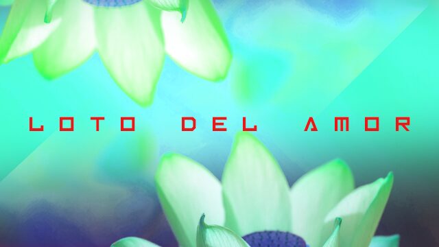 Loto del Amor