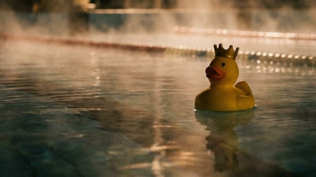 "Los Patitos de Goma"