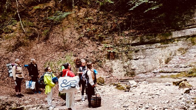 Retiro de yoga y naturaleza de fin de semana en SUACASAESCOLASTICA 