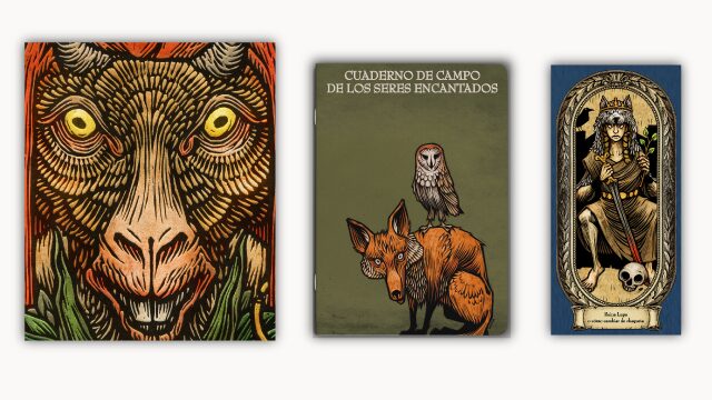 Early bird. Libro El mundo encantado de Galicia