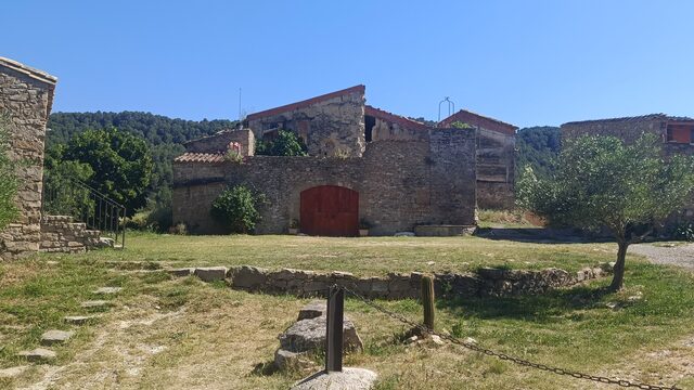 Visita als animals i tota l'Escola de Repoblament Rural