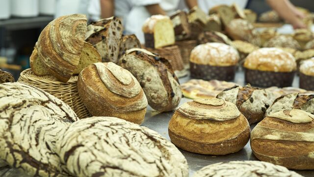 ALUMNO FUNDADOR - CURSO PROFESIONAL - BREAD TEAM