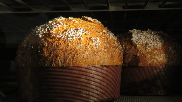 ALUMNO FUNDADOR - CURSO PROFESIONAL - PANETTONE TEAM