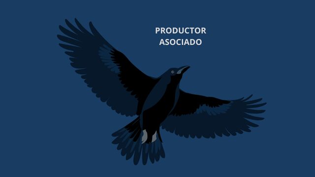 PRODUCTOR ASOCIADO