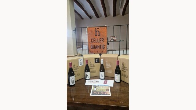 Lote completo de vinos y accesorios + Conferencia de los físicos cuánticos vinateros