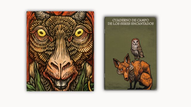 Libro El mundo encantado de Galicia