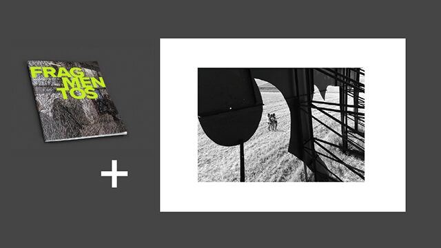 PACK 3 · Fotozine + foto en tamaño A3 ‘Toro de Labajos’