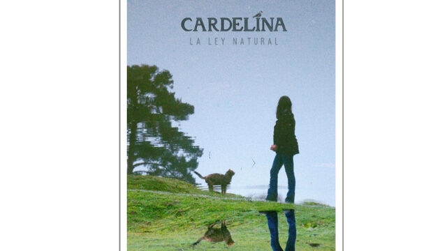 Descarga Digital 