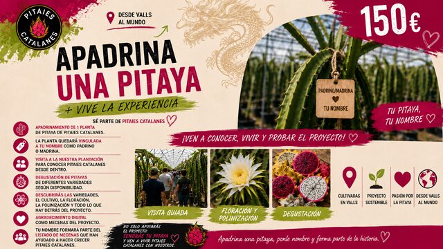 APADRINA UNA PITAIA + VIVE LA EXPERIENCIA🌱