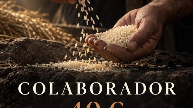 PRIMERA PARADA IMPORTE: 40 € DESCRIPCIÓN: Ayúdanos a dar el primer paso de «Materia». Recibirás una actualización para mecenas sobre los avances del proyecto y un agradecimiento digital del equipo.