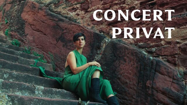 Concert privat i sopar amb els artistes